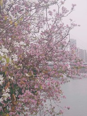 90D94781-97BE-4236-A61D-4EC6B9B972A2/L0/001