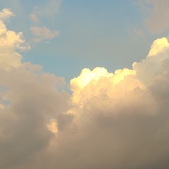117875