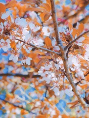 F7E4ED4C-D600-4631-92AE-88CB34357BFD/L0/001