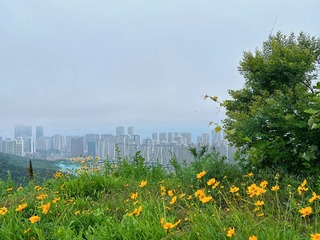8DC41B6A-05BE-49BD-B1A2-AA10BA27765B/L0/001
