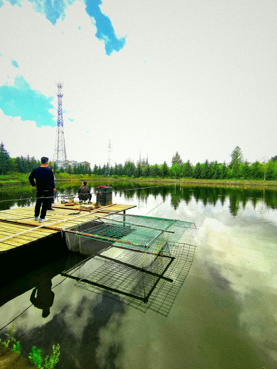 在长白山个人家鱼塘钓鱼