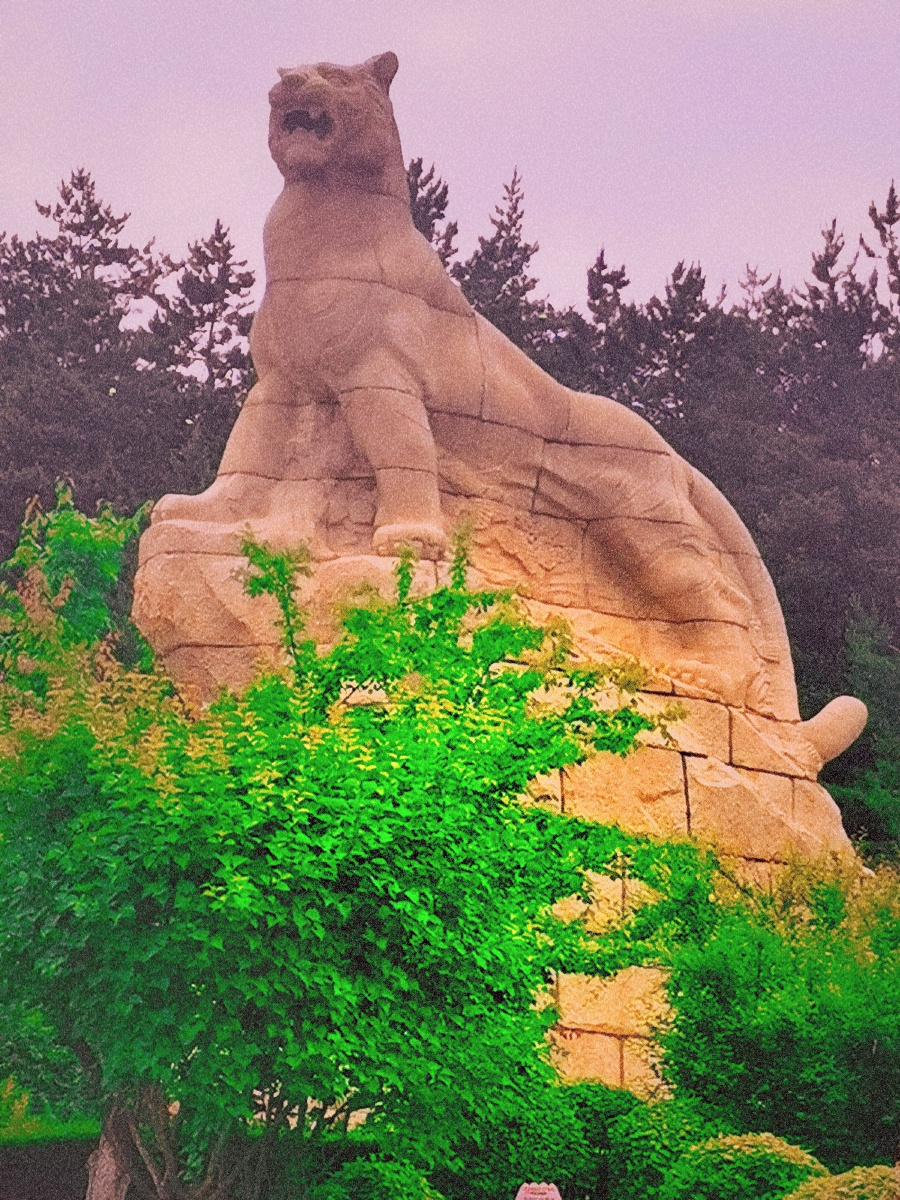 中国吉林省延吉市帽儿山上的雕塑东北虎