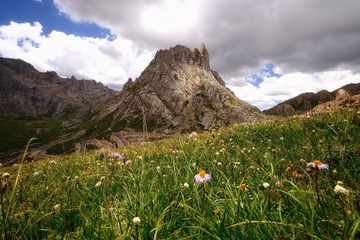15641