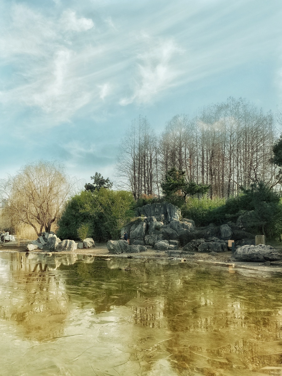 上海世纪公园的冬天