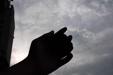 4341EE38-6619-4C49-A8F6-FE0864267662/L0/001