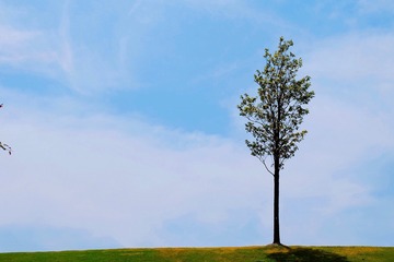 704C043D-4716-45A3-96AD-477597DF02ED/L0/001