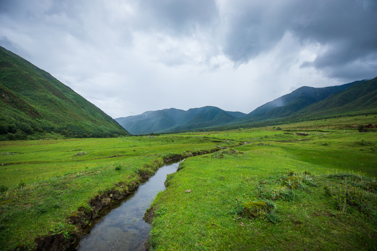 夏日的高山草场