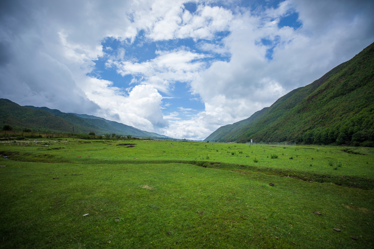 夏日的高山草场