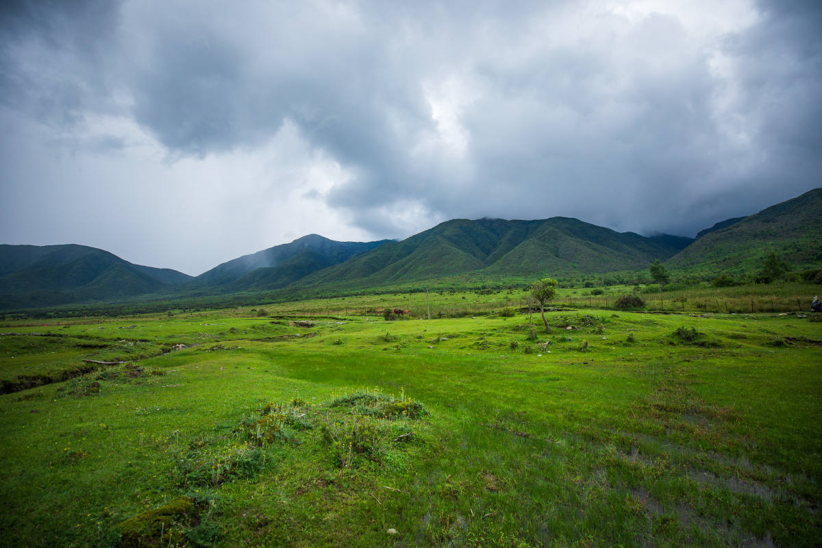 夏日的高山草场