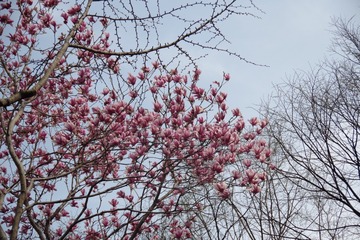 B3028690-146E-4272-8386-C34438A04D23/L0/001