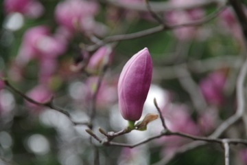 BD1D2588-6374-4996-A833-B5416B95D361/L0/001