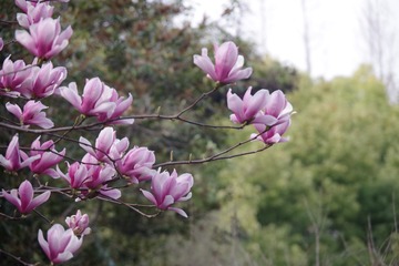 66F8D142-C6CE-493D-A4E5-B388B2AF50B0/L0/001