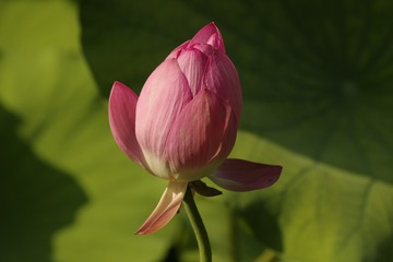 BD8263FC-8945-4A46-AB20-71464BA38851/L0/001