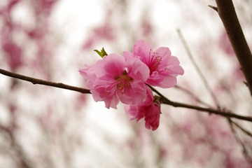 A6D00875-543D-45A4-B5FA-14F0C0A53786/L0/001