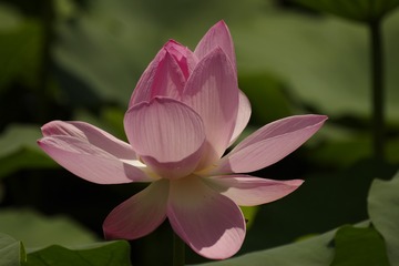 97D5552F-E831-4CE3-80E0-2AA96DF71EE8/L0/001
