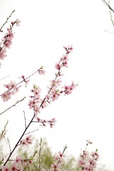 997EB79A-E8C9-4B5D-AA3D-90286FA6ADC3/L0/001