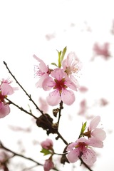 FD8832E8-EA3F-4248-8F36-26F33AE694D8/L0/001
