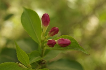 B26F7190-74A0-46EA-91DA-227D7B4ECFB1/L0/001