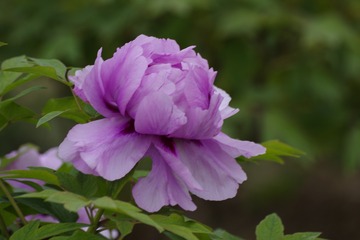 1613020C-16BD-4C46-A003-7773C4BB0906/L0/001