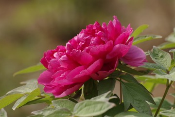 BC259136-A1B9-43AA-9E1E-83946FBB7049/L0/001