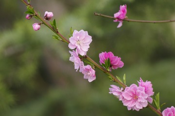 E84CB821-8DB3-452C-8196-4B6EA6957023/L0/001