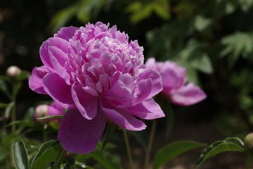 22833F7A-217A-44EF-9861-E2222F91E22B/L0/001