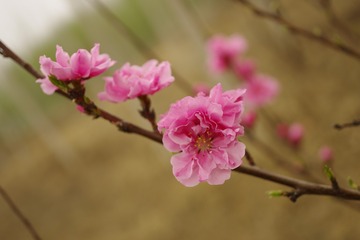 3A9E19C6-AF29-40F0-88C9-E62E9959779F/L0/001