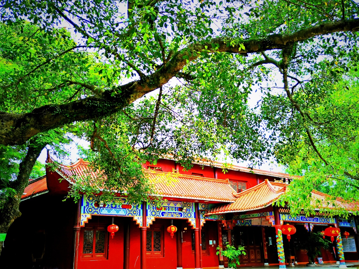 哈亭是京族人民祀祖祭神和民间娱乐的公众场所