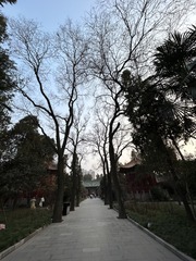 D81E3CC8-7F11-4566-BD24-9BCF0EF023F0/L0/001