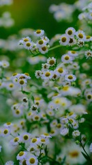 41411B18-2626-4D31-B092-F02DE5C1C043/L0/001