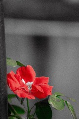 BC72E4F6-8739-45C1-8D14-68CB70E29A45/L0/001