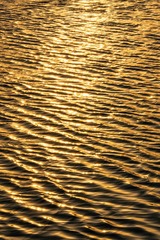 C3B763B3-3D14-4057-8C98-2857AA8AF28C/L0/001