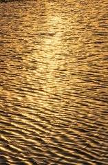 3B397174-80D6-4464-9429-F5850EAAE9DE/L0/001