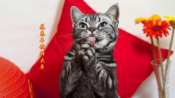 恭喜发财