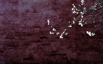 宫锁心玉