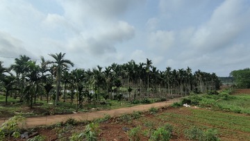 1000034766