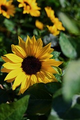 3F13B520-A370-4215-B3E6-AF53C71F928C/L0/001