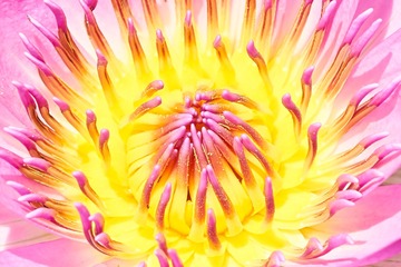 E8C6B0DA-502A-4CE7-878B-334D44F25537/L0/001