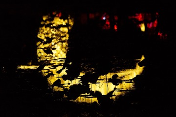 152F2CC0-59CF-47A4-AD9A-C7B6825F4C3D/L0/001