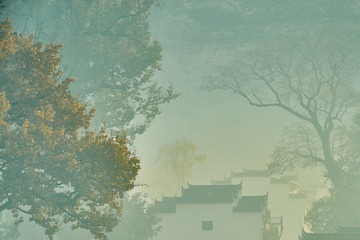 F5D22DB8-1F9A-4ECC-9B8C-115059599581/L0/001