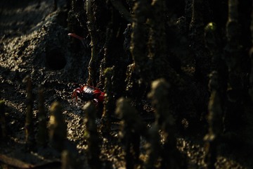 A74F0D4A-E0EF-4EE4-AD28-A35903BA46B2/L0/001