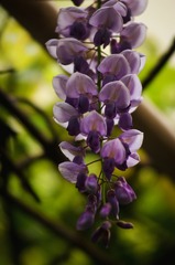D90539E0-E8C3-47F9-BEE8-0392EFE25C0B/L0/001