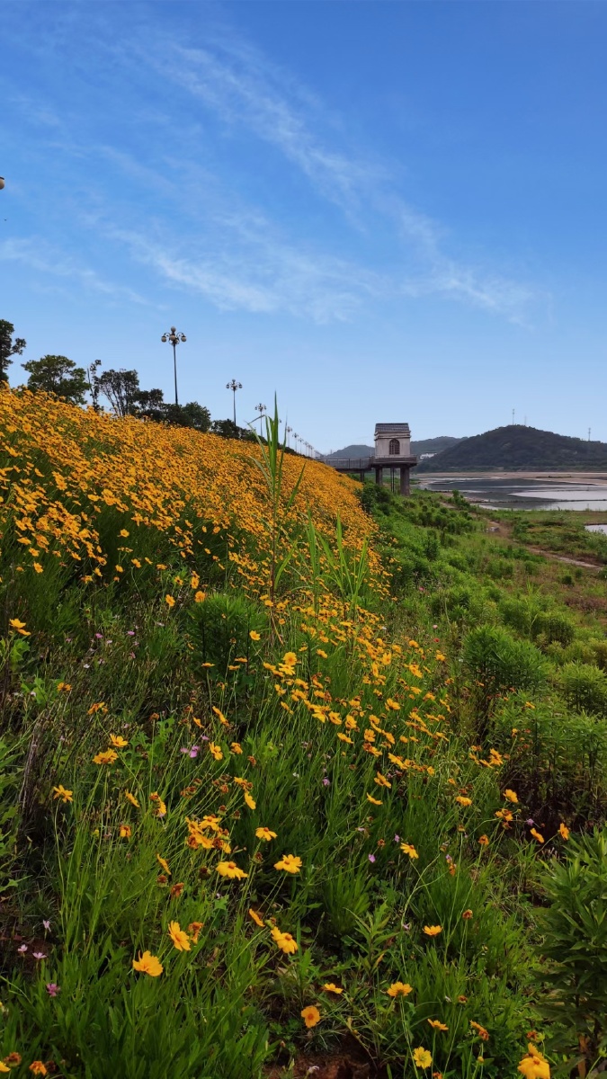 人生春秋 - 雅博渡口的等待 - 图虫