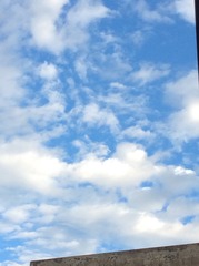 1D123FA2-D48B-4BB0-A724-61924BEFC659/L0/001
