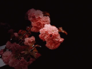C80C5536-2ECD-4F19-BE2C-DB81596ADA2D/L0/001