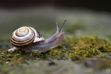 01e092f8062812fa98dfcea83e743d35