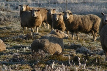aae83634ffa58424a9ac5206300219af