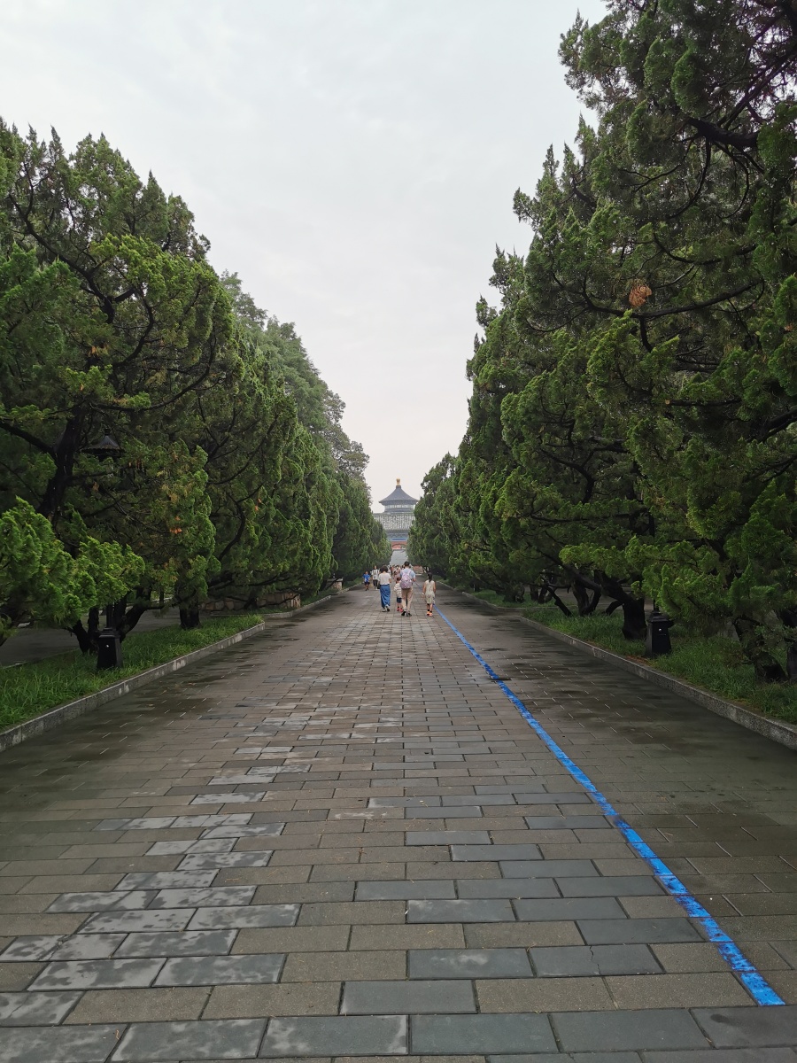 雨后的天坛公园空气清新静谧安祥