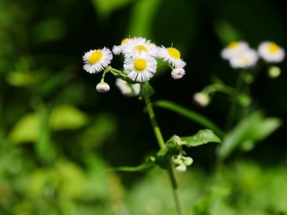 F9136DB5-BF83-4179-B536-001F69BF5D20/L0/001