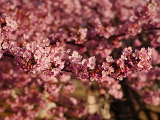 3B85651A-AE5A-43E0-B73E-9F96A3F01D8E/L0/001